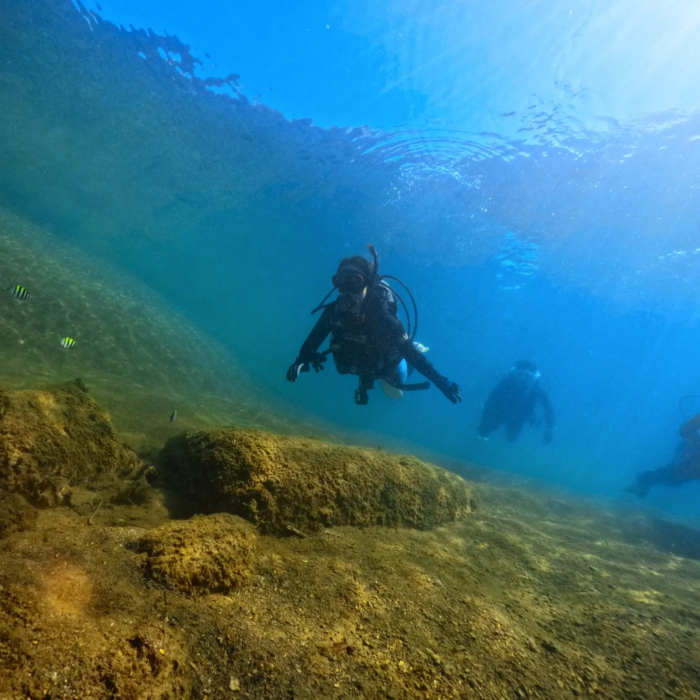 PADI OWD 海洋ダイブ一日目🐟透明度は良くはないですが...