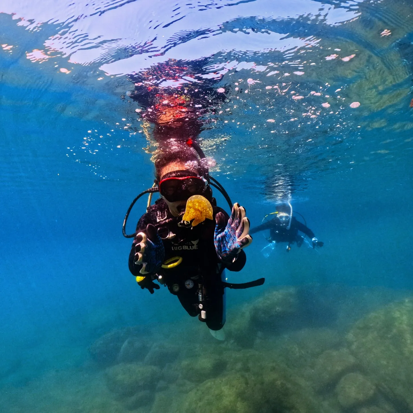 PADI OWD 海洋ダイブ一日目🐟透明度は良くはないですが...