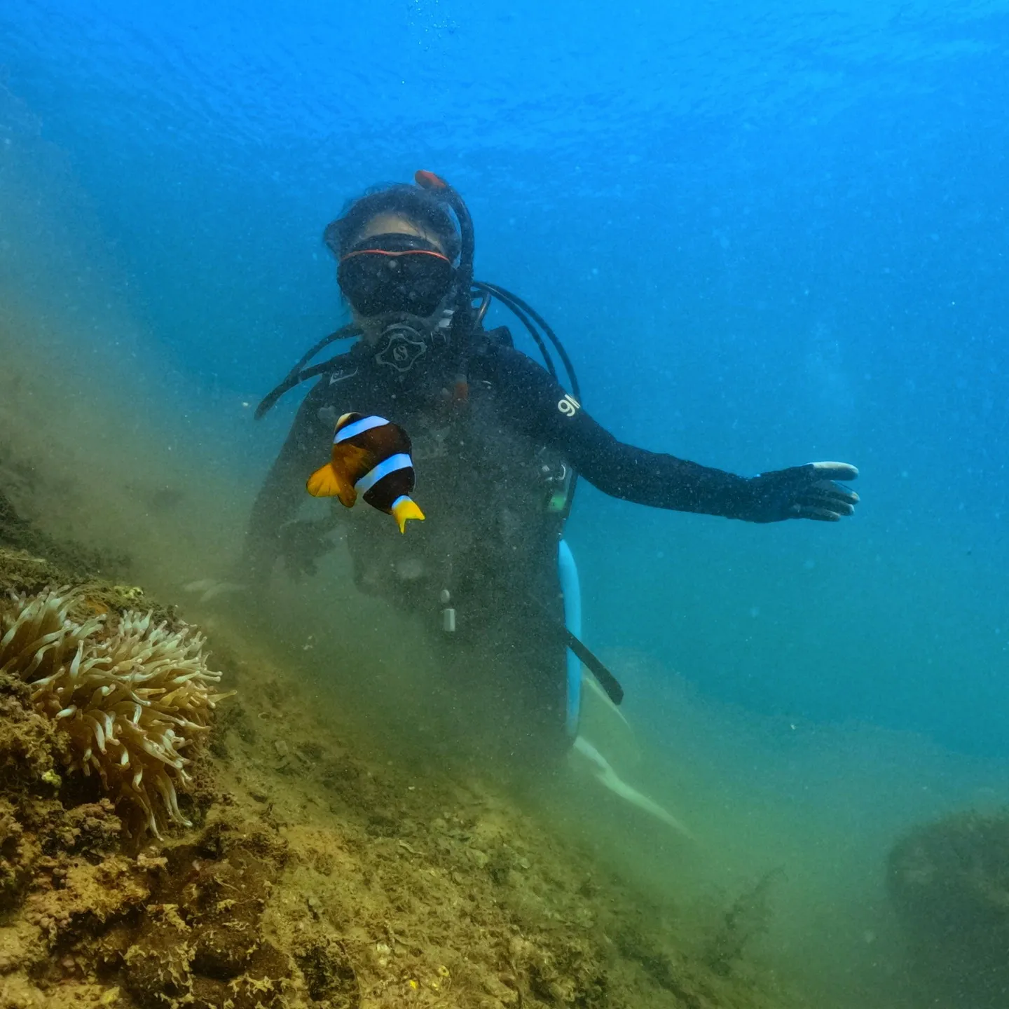 PADI OWD 海洋ダイブ一日目🐟透明度は良くはないですが...