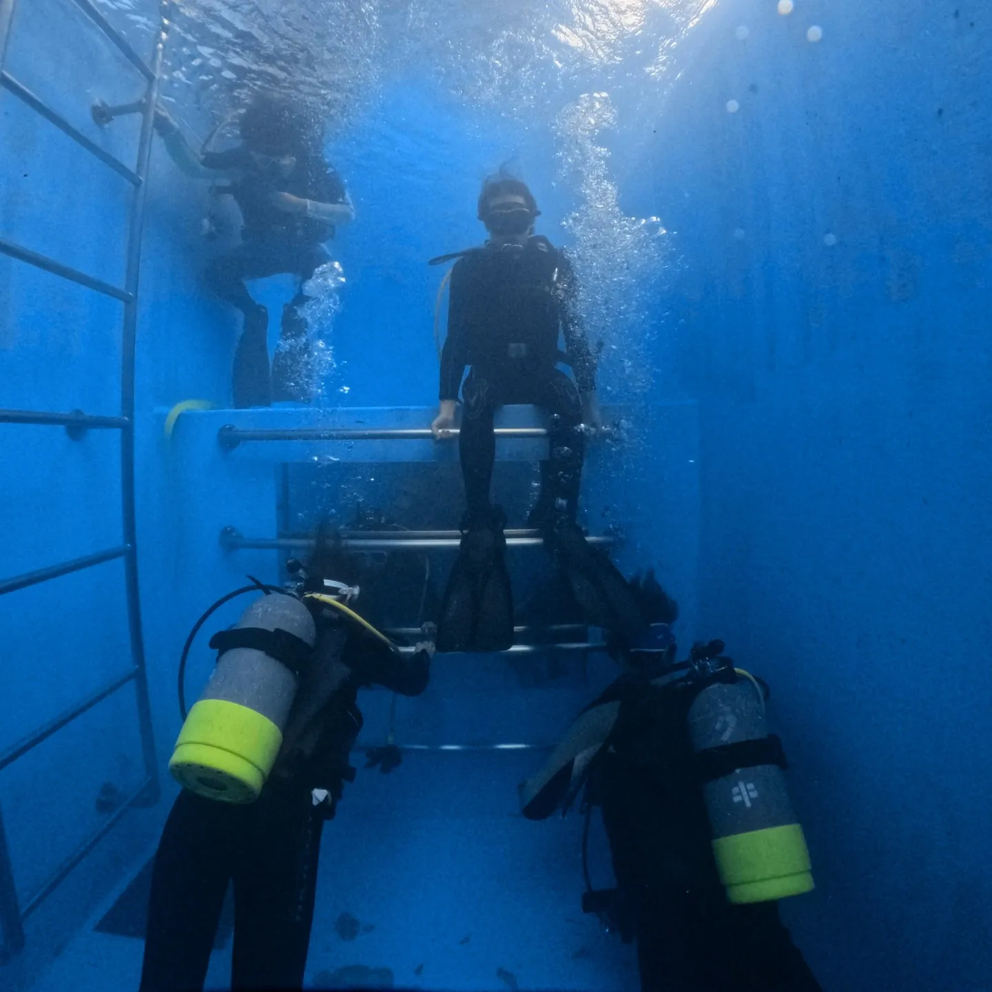 本日のPADIオープンウォーターダイバーコースの限定水域プー...