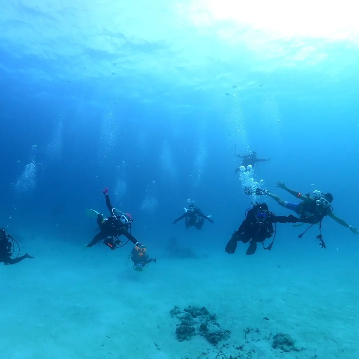 先週は石垣島でした🐠