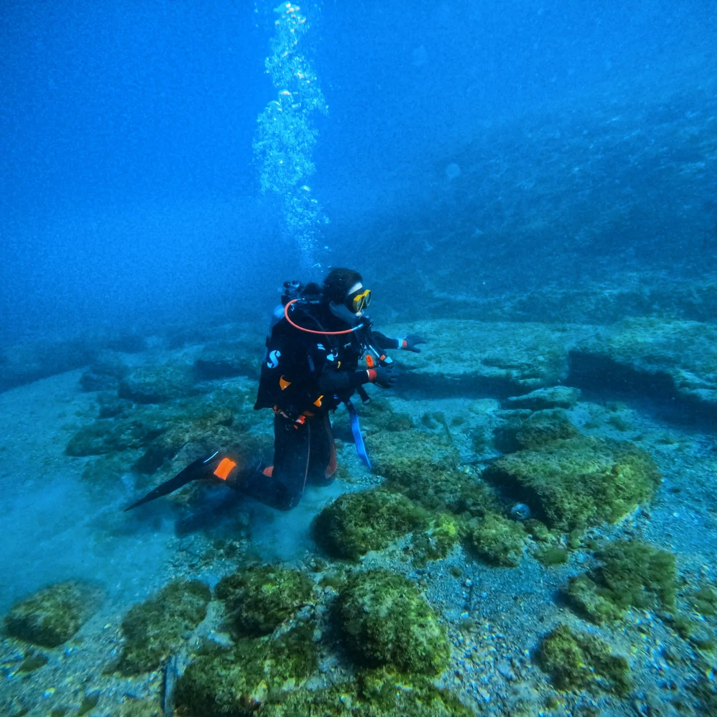 19日は僕はアドバンスコース担当🐠ヒカルはオープンウォーター...