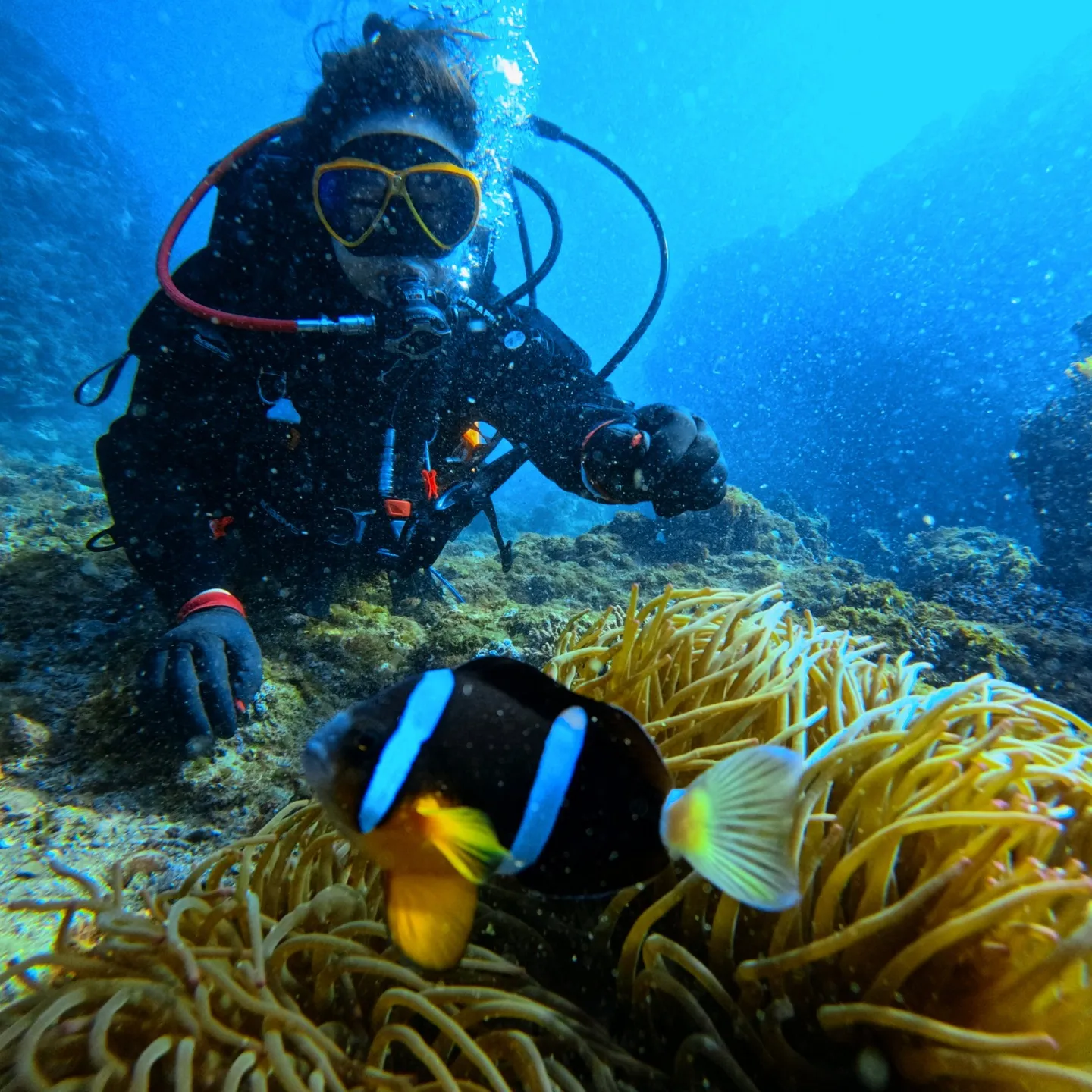 19日は僕はアドバンスコース担当🐠ヒカルはオープンウォーター...