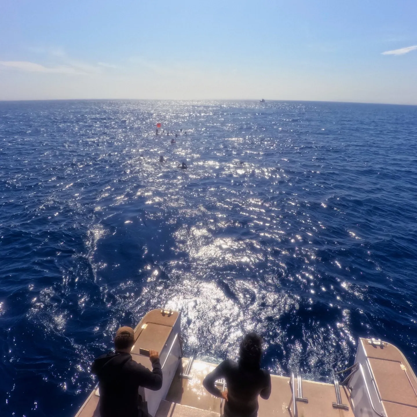 沖縄本島ザトウクジラホエールスイムへ行ってきましたよ✌️最高...