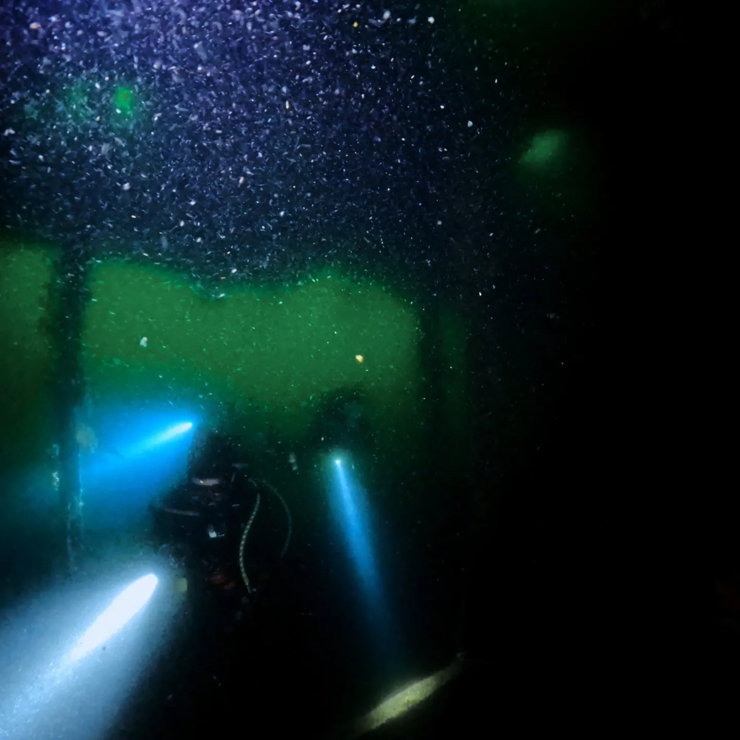 4/12(土）透明度３ｍの中での熱海沈船ダイビング✌️グリー...