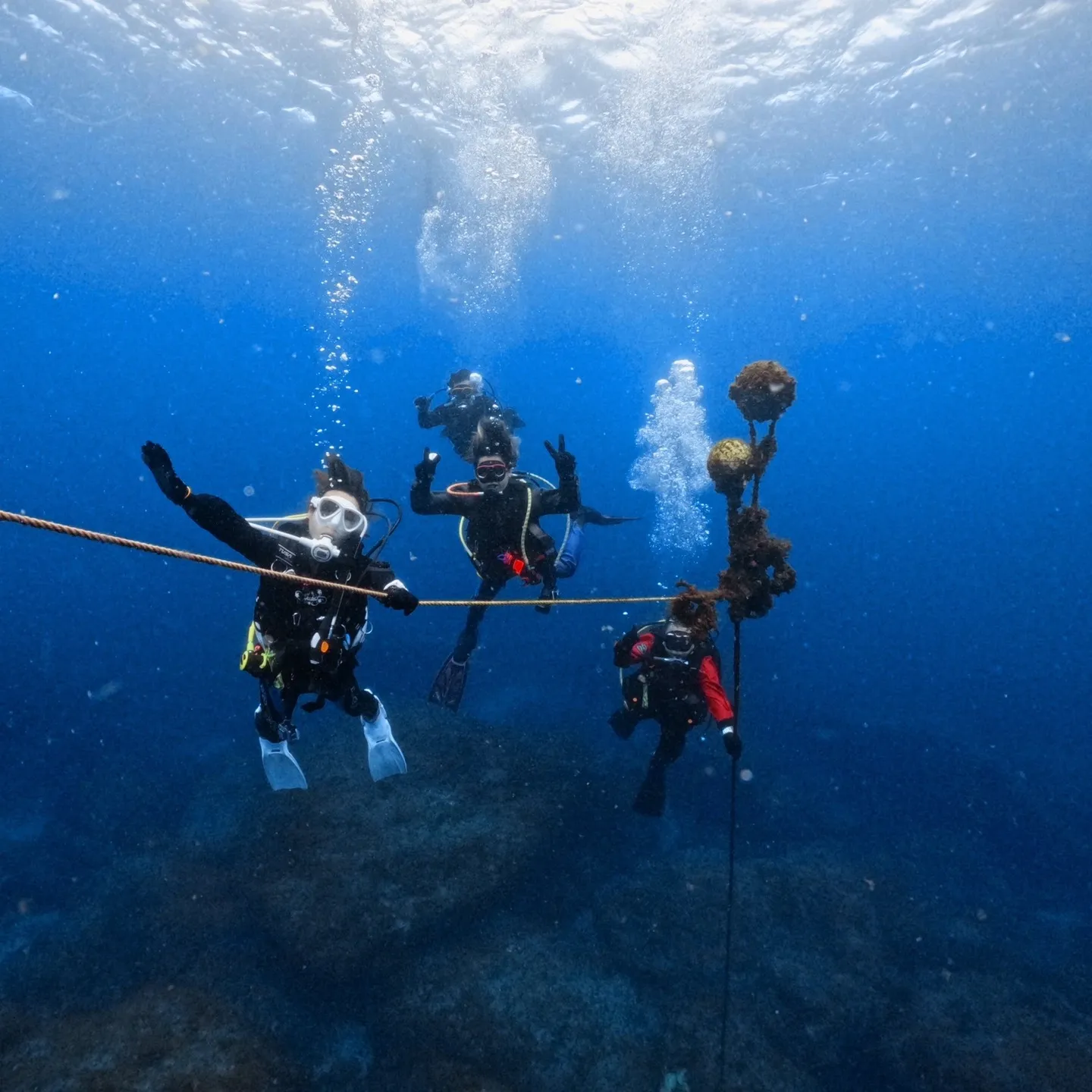 大阪でダイビングを始めるなら必見 大阪府内のスクール徹底ガイド