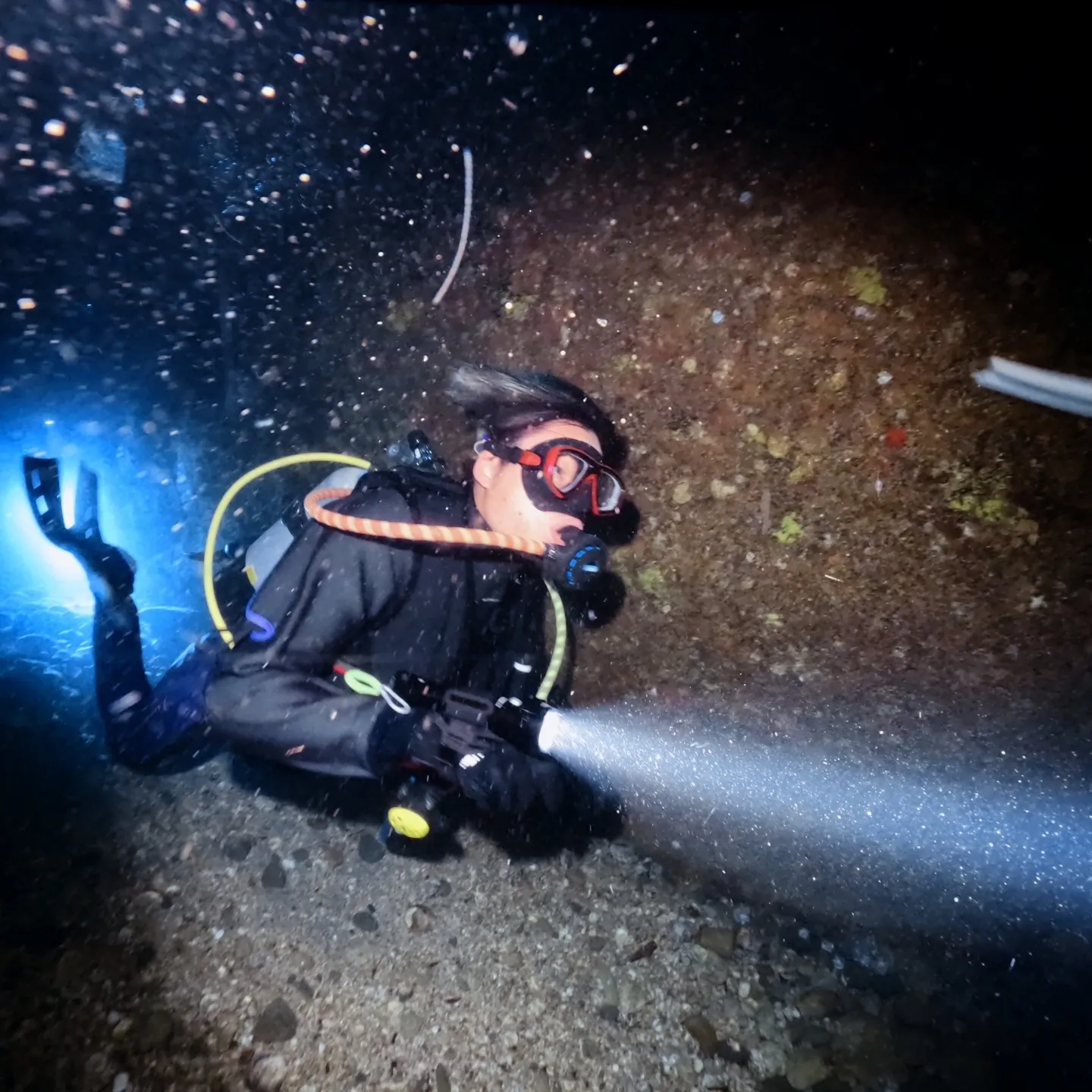 4/12(土）透明度３ｍの中での熱海沈船ダイビング✌️グリー...