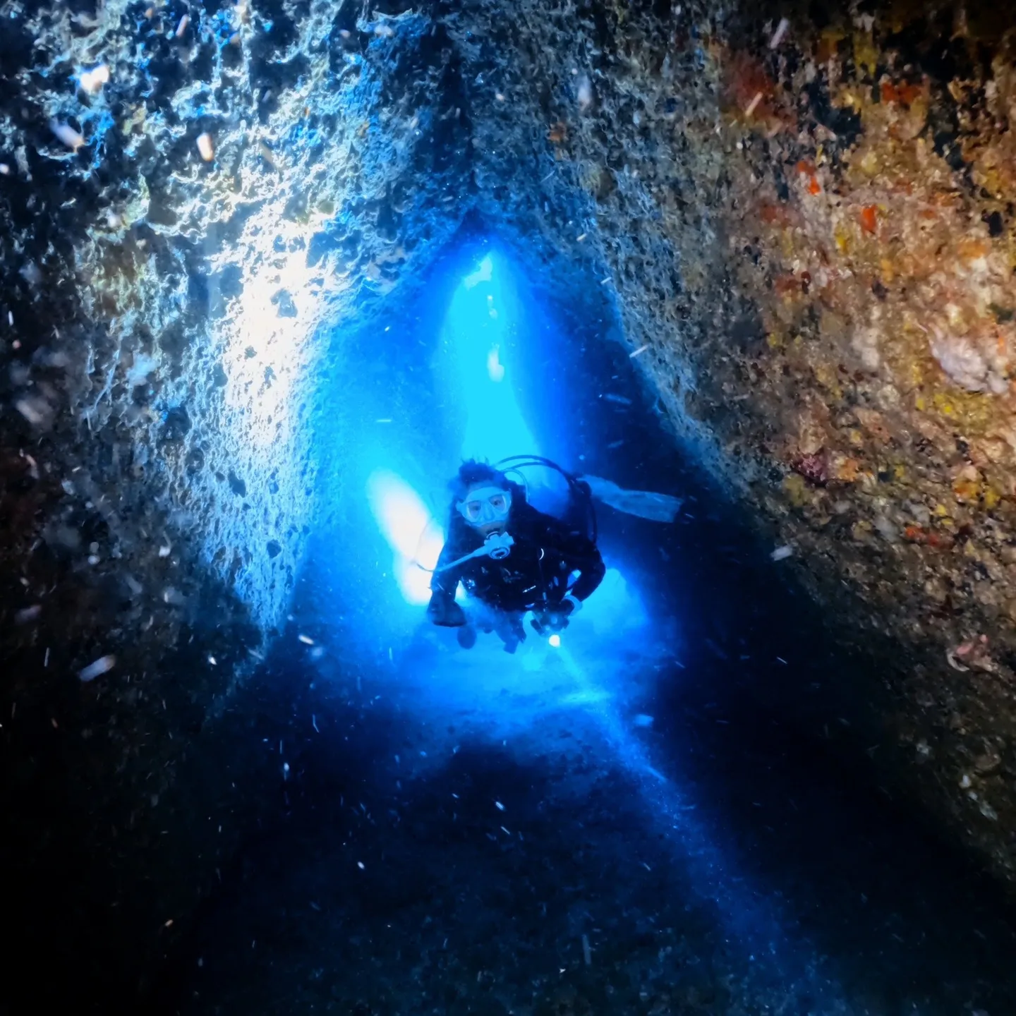 4/12(土）透明度３ｍの中での熱海沈船ダイビング✌️グリー...