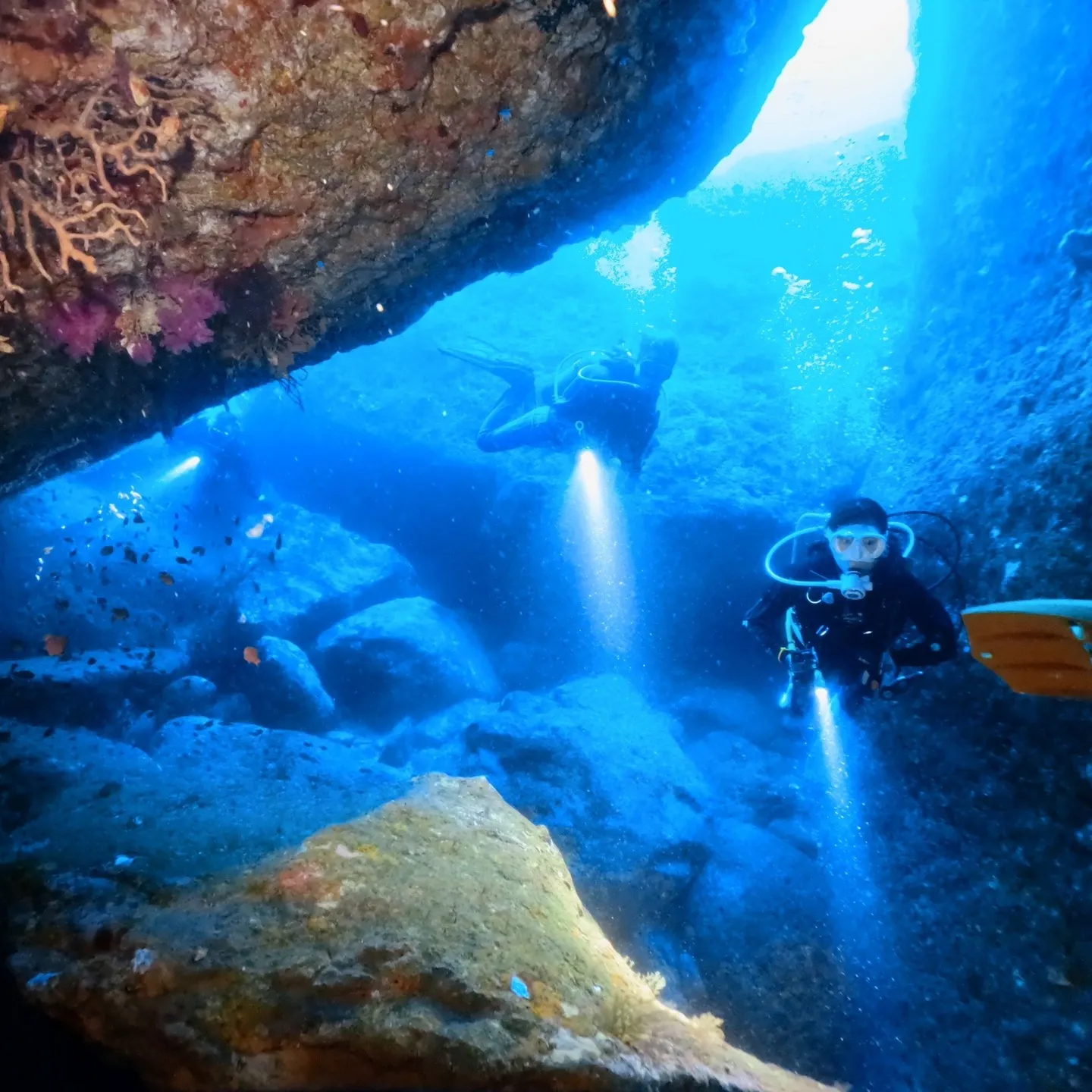 4/12(土）透明度３ｍの中での熱海沈船ダイビング✌️グリー...