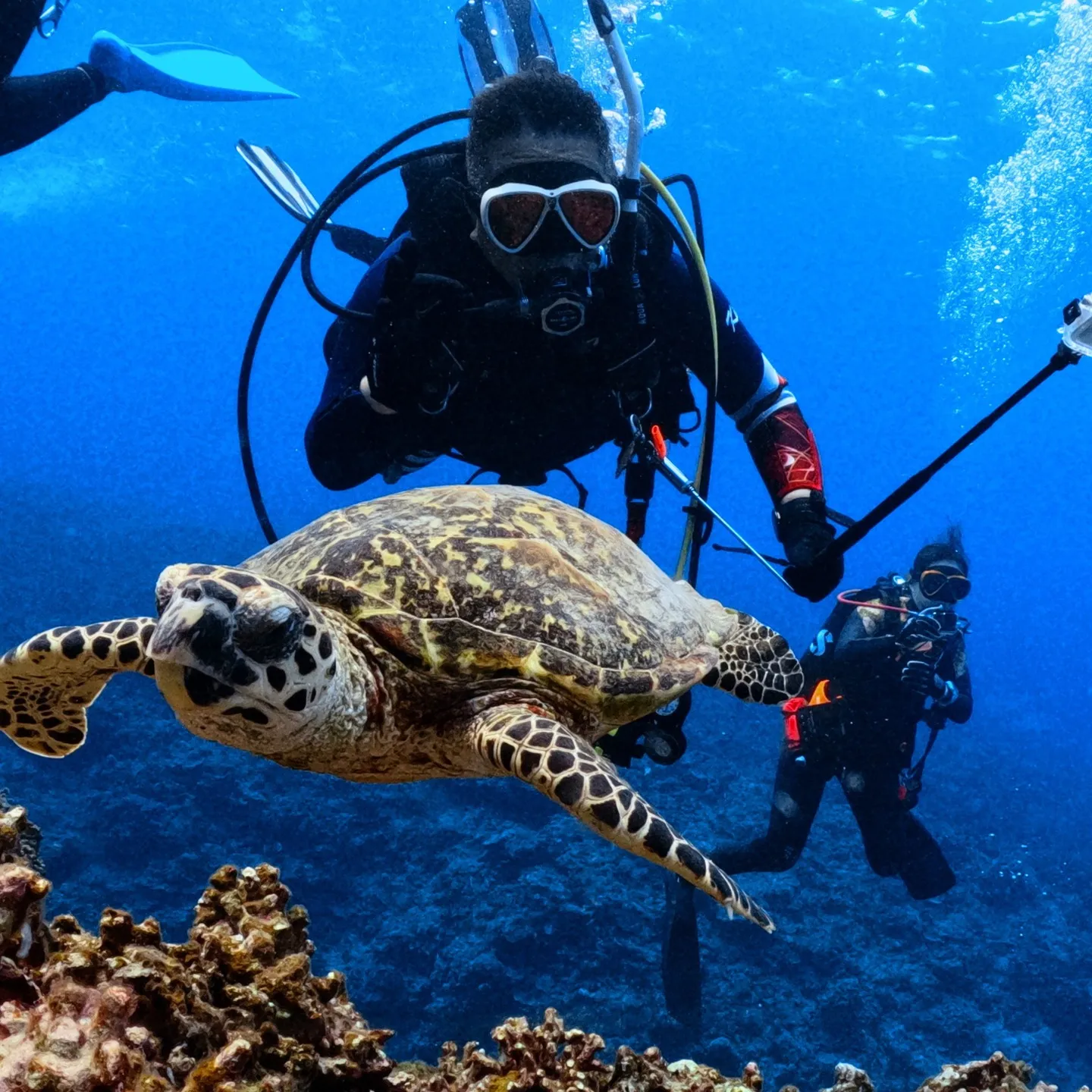 大阪府でシニアダイビングを楽しむ！安全で魅力的なシニア向けコースの魅力