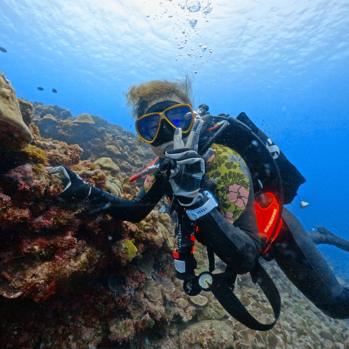 大阪府でPADIスクールを選ぶポイントとおすすめコースの紹介