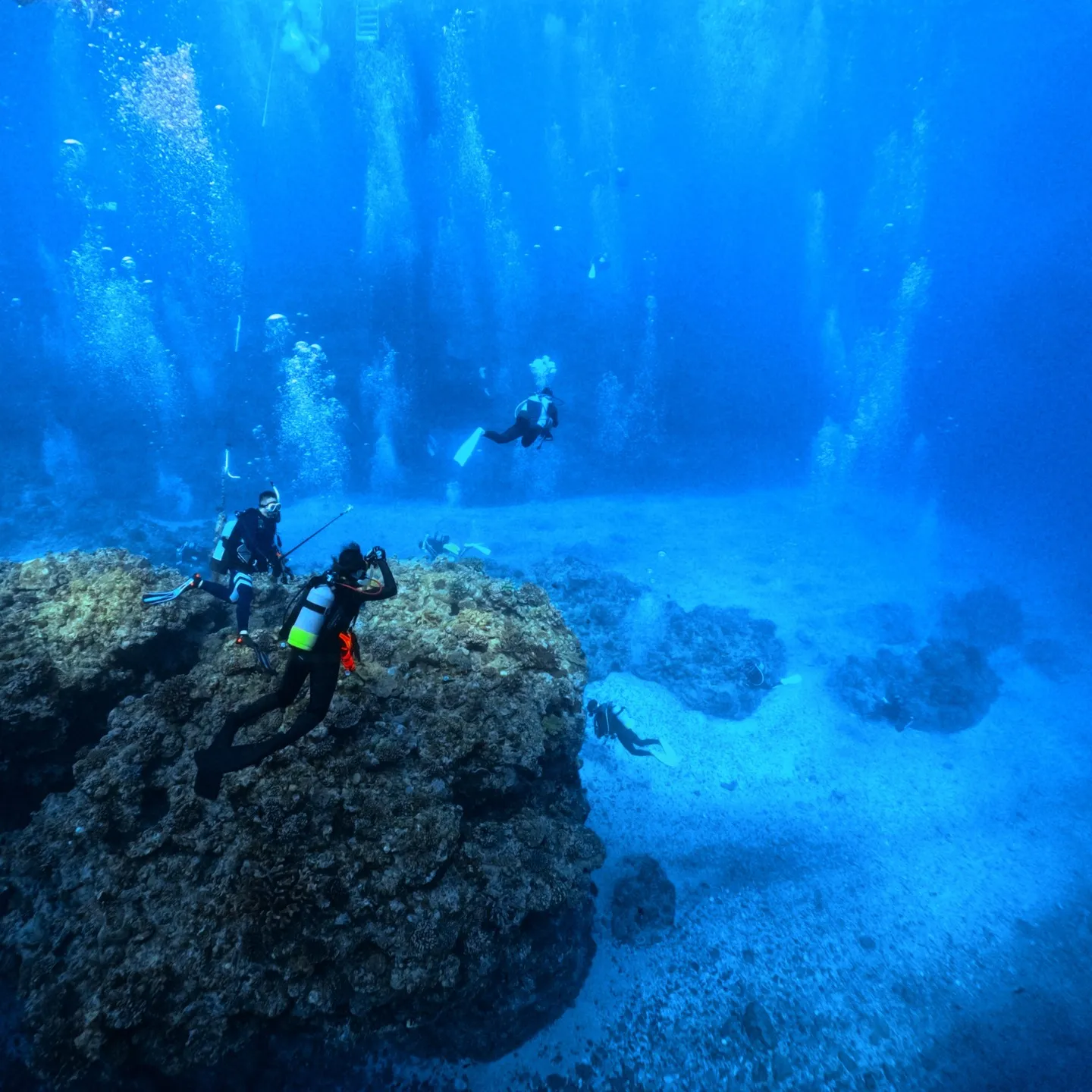 沖縄本島ビギナー限定ダイビング✌️記念の10本目のダイビング...
