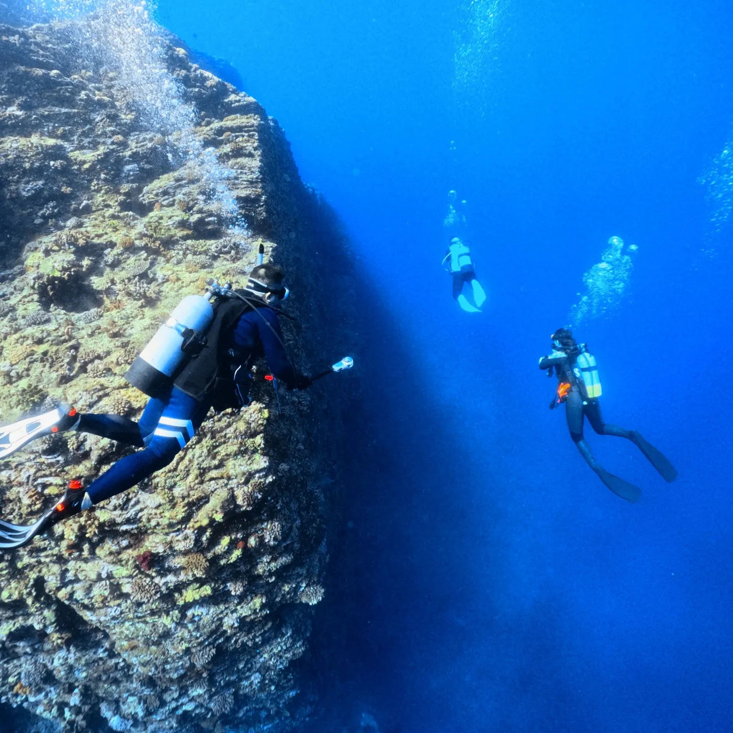 沖縄本島ビギナー限定ダイビング✌️記念の10本目のダイビング...
