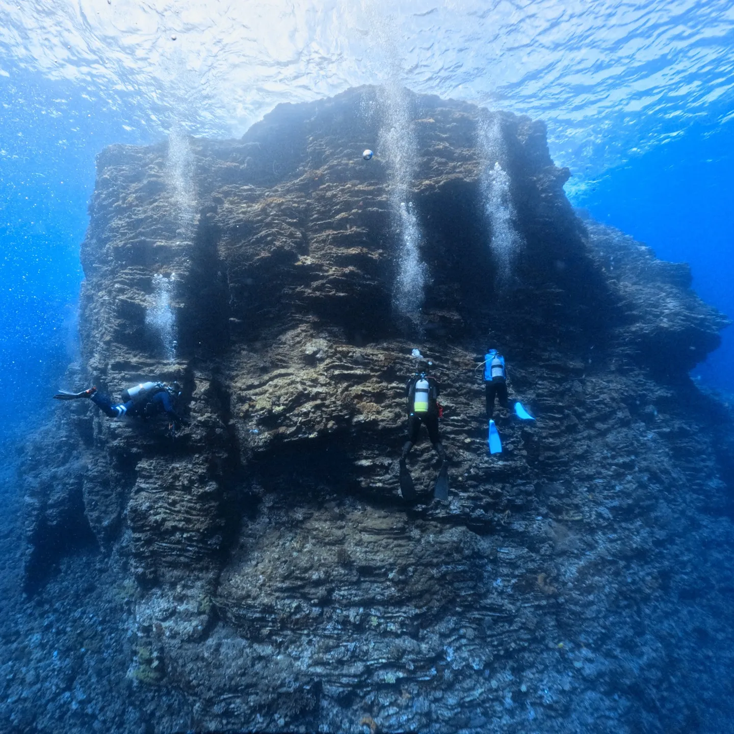 初心者必見 初めてのファンダイビングで知るべきこととは