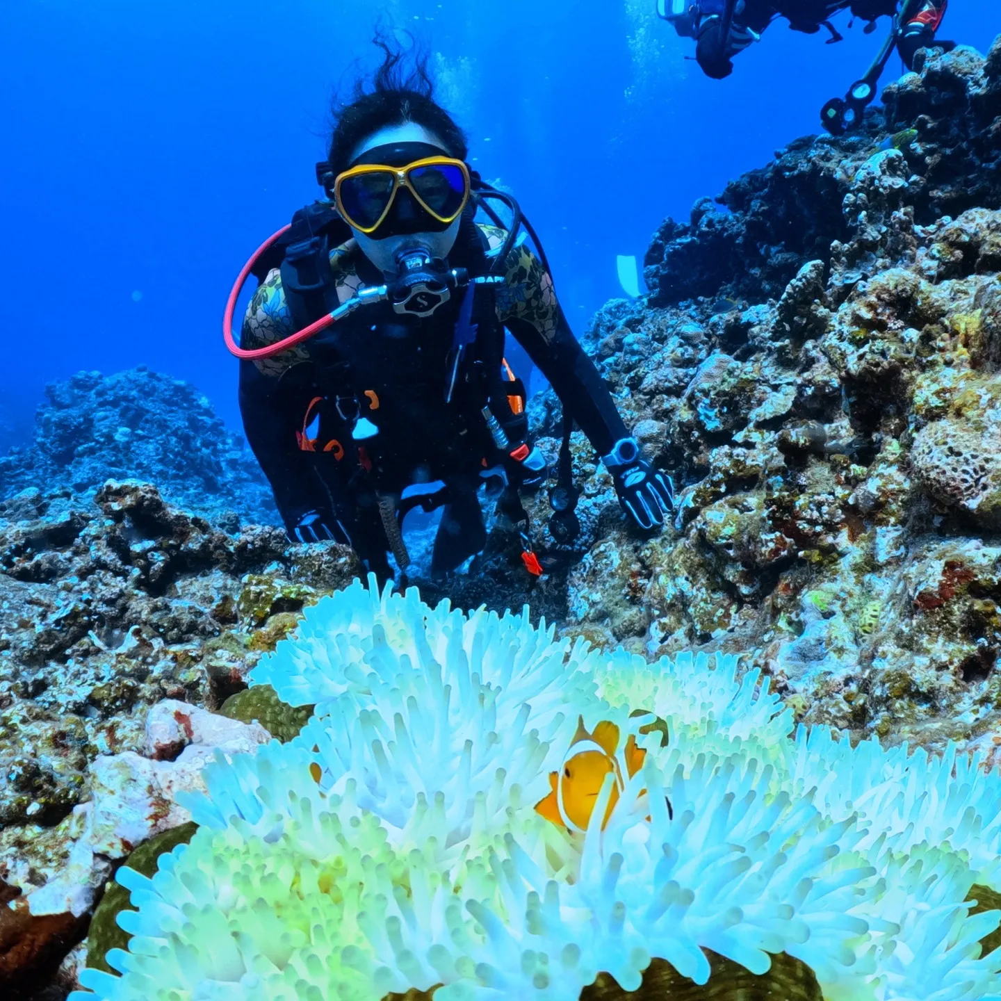 初心者でも安心 ダイビングツアーで初めての海の冒険を楽しもう
