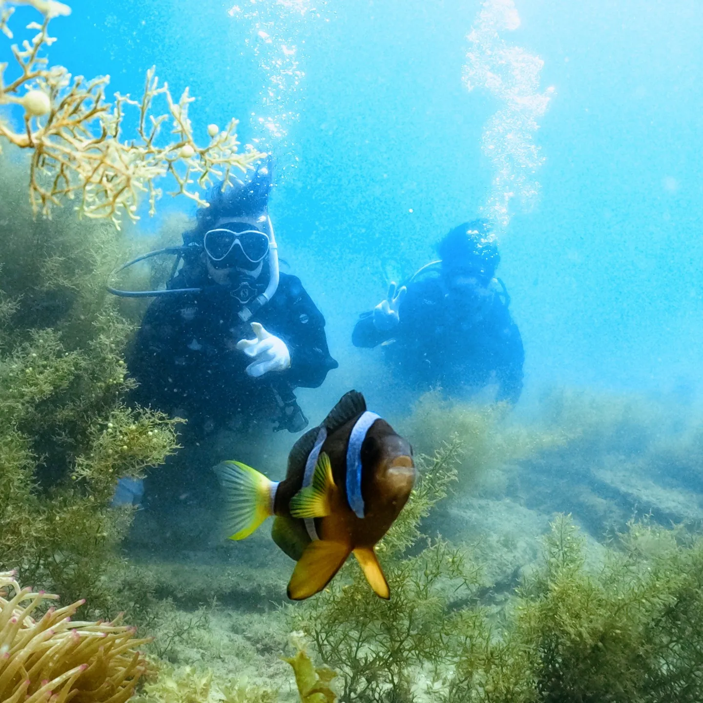 ダイビング海洋実習一日目😙