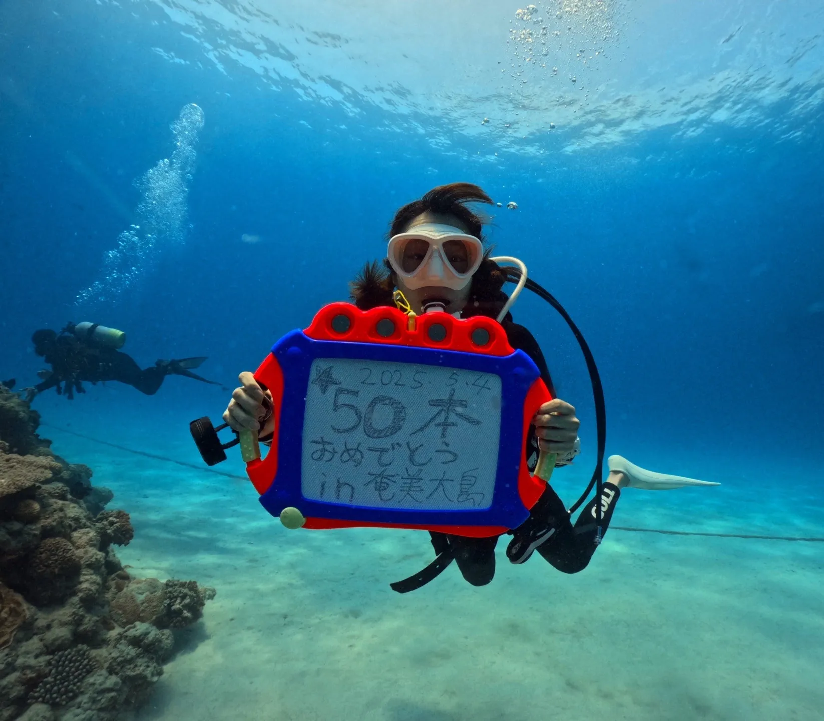 奄美大島三泊四日🐡ミステリーサークル観察🐙コブシメ産卵🐠５０...