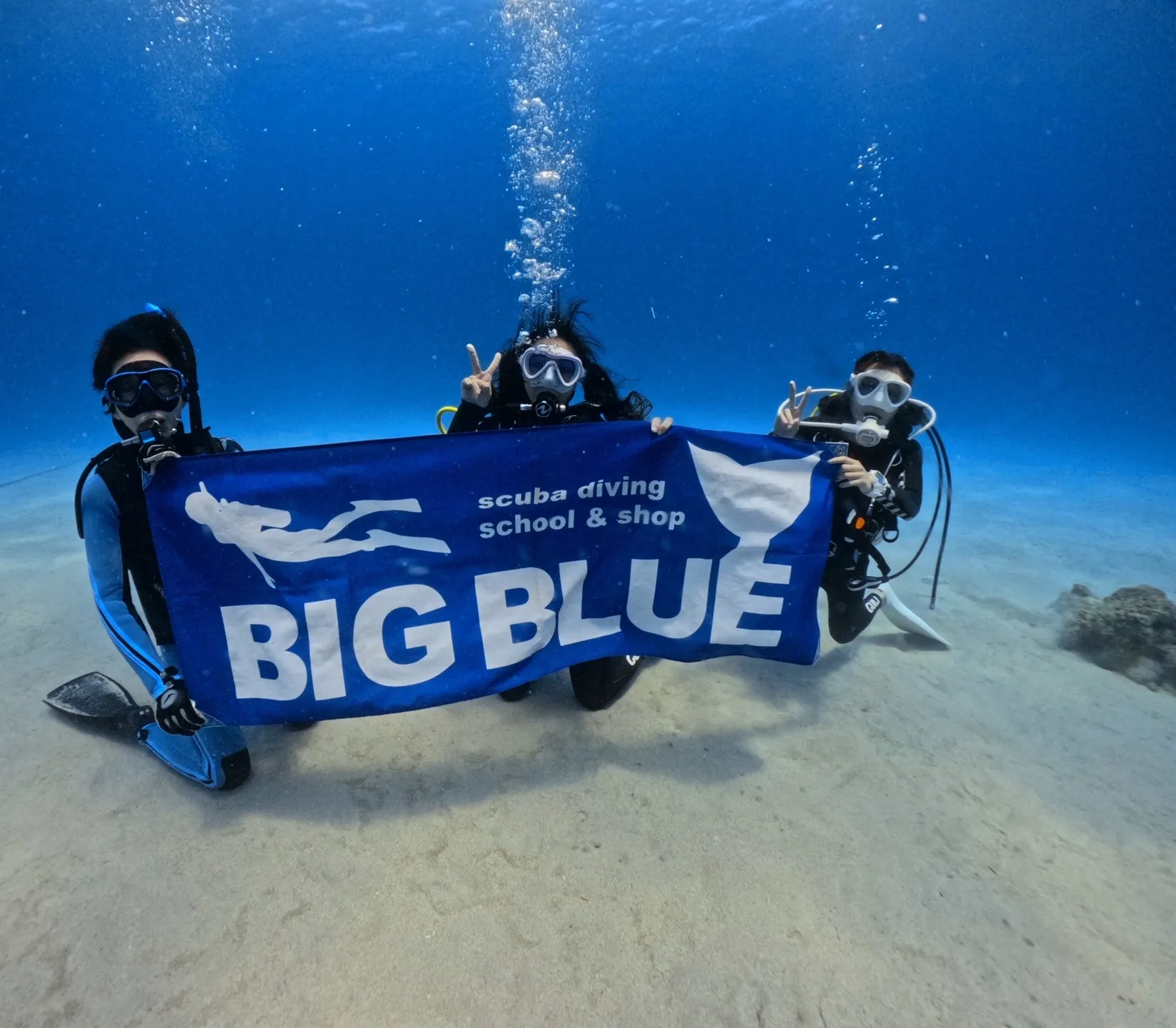 奄美大島三泊四日🐡ミステリーサークル観察🐙コブシメ産卵🐠５０...