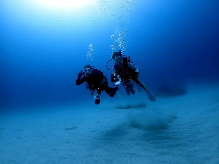 2025.5/15-17奄美大島ツアー