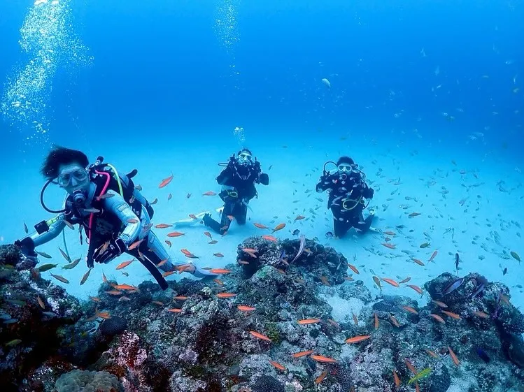 2025.5/15-17奄美大島ツアー