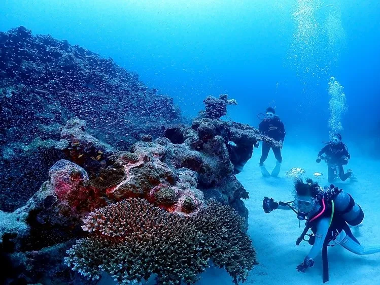 2025.5/15-17奄美大島ツアー