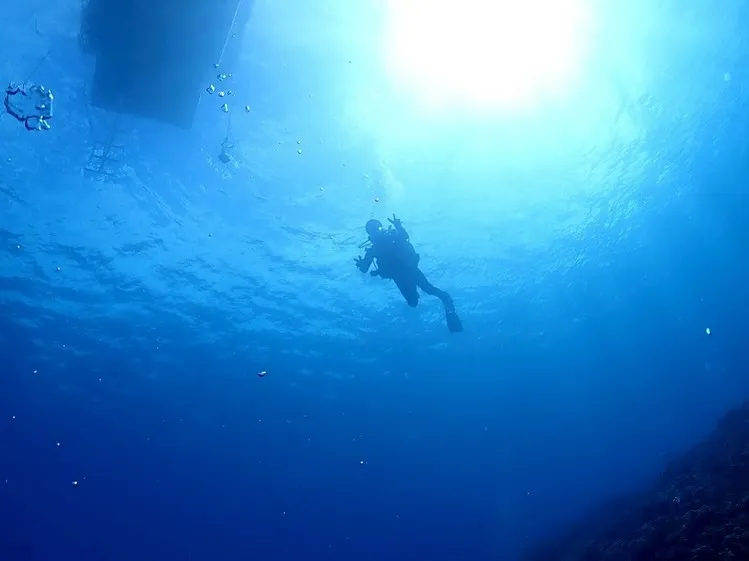 2025.5/15-17奄美大島ツアー