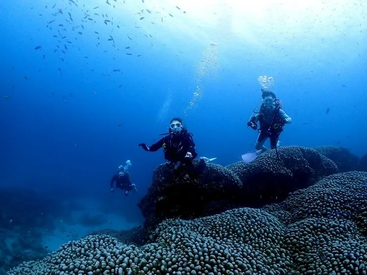 2025.5/15-17奄美大島ツアー