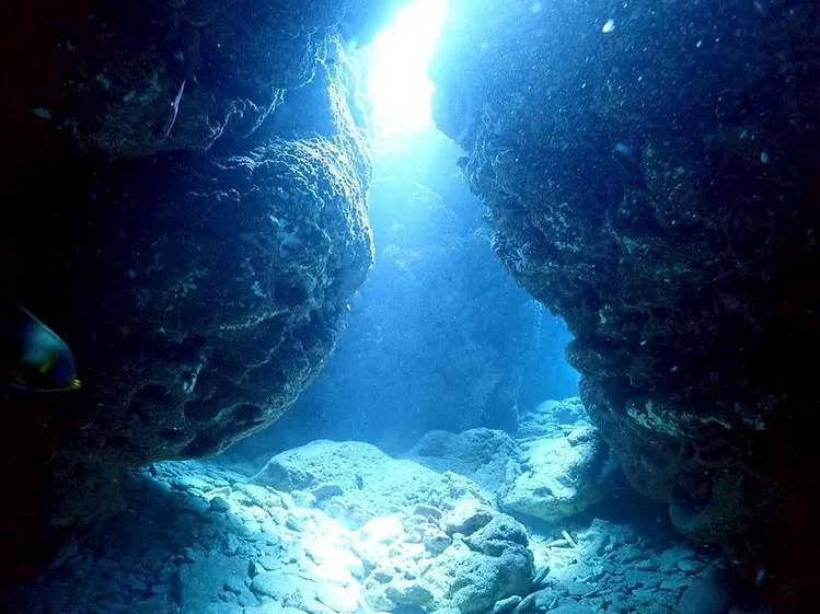 2025.5/15-17奄美大島ツアー