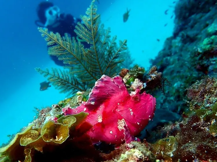 2025.5/15-17奄美大島ツアー