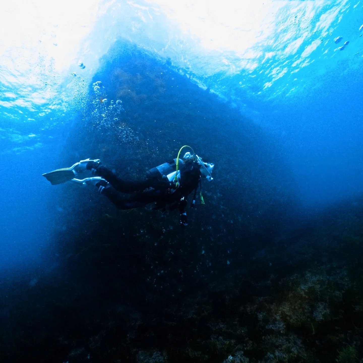 土日は一泊二日島根県大田ダイビング✌️ヒメタツやハナイカ観察...
