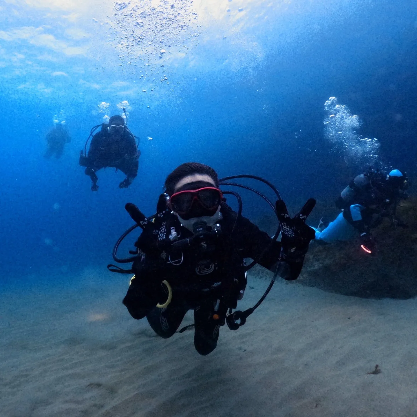 土日は一泊二日島根県大田ダイビング✌️ヒメタツやハナイカ観察...
