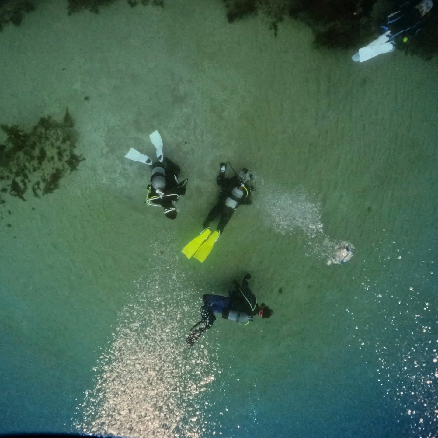 土日は一泊二日島根県大田ダイビング✌️ヒメタツやハナイカ観察...