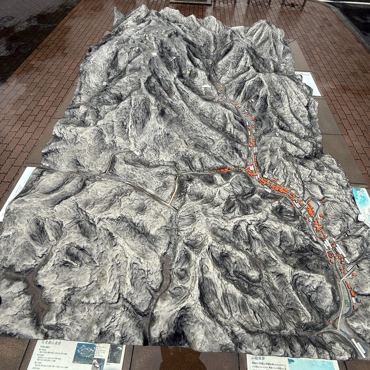 土日は一泊二日島根県大田ダイビング✌️ヒメタツやハナイカ観察...