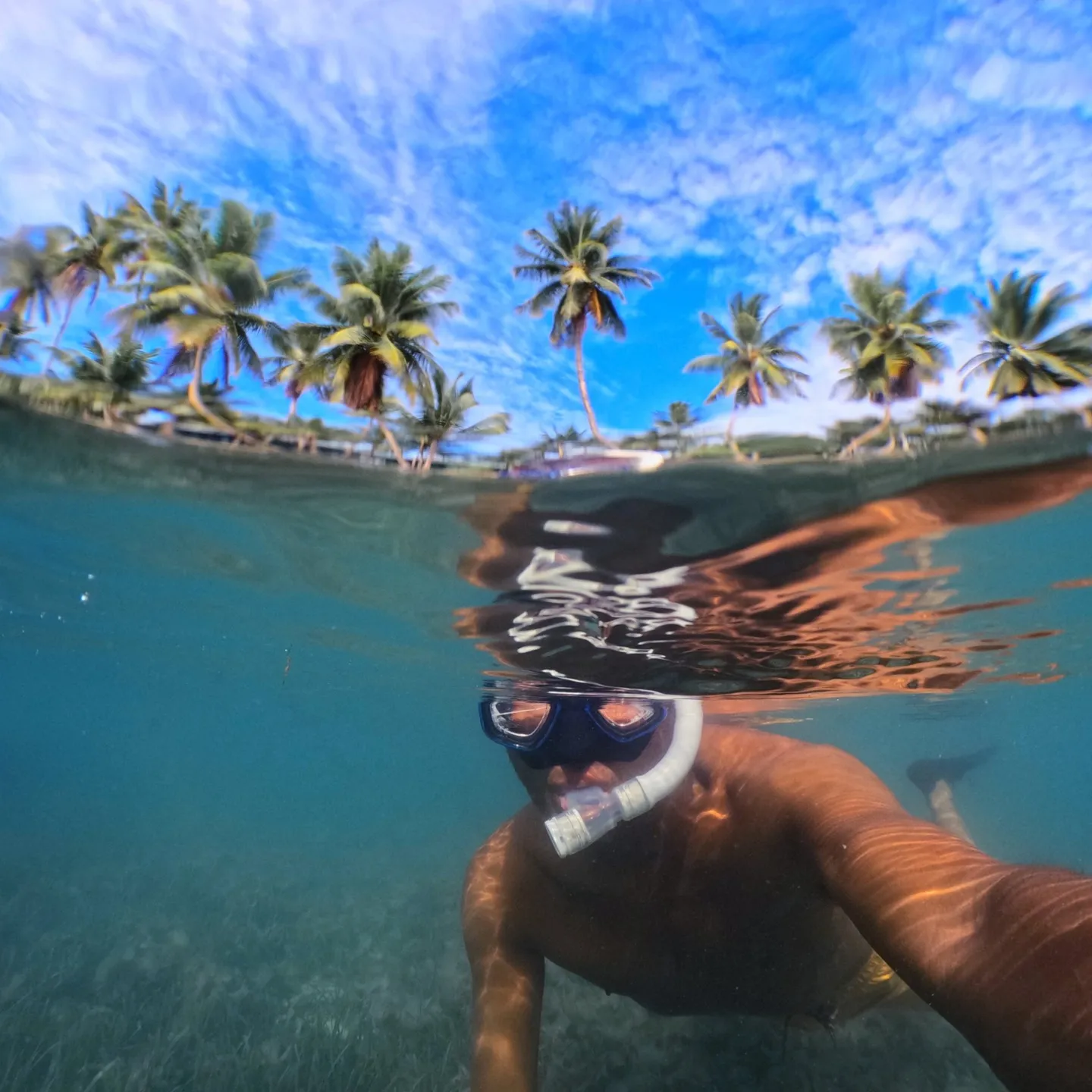 ミクロネシア連邦のチューク州へレックダイブ🐟