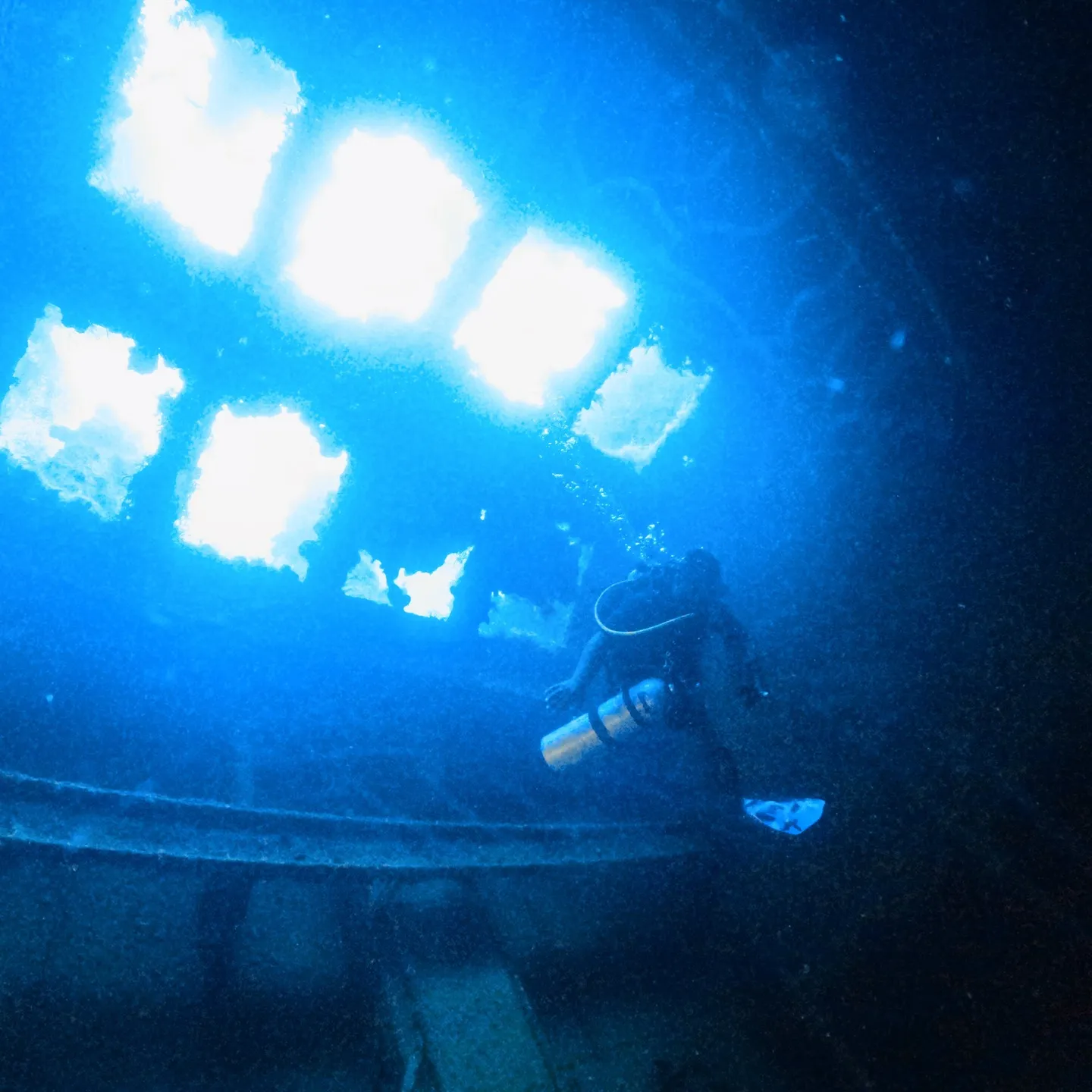 ミクロネシア連邦のチューク州へレックダイブ🐟