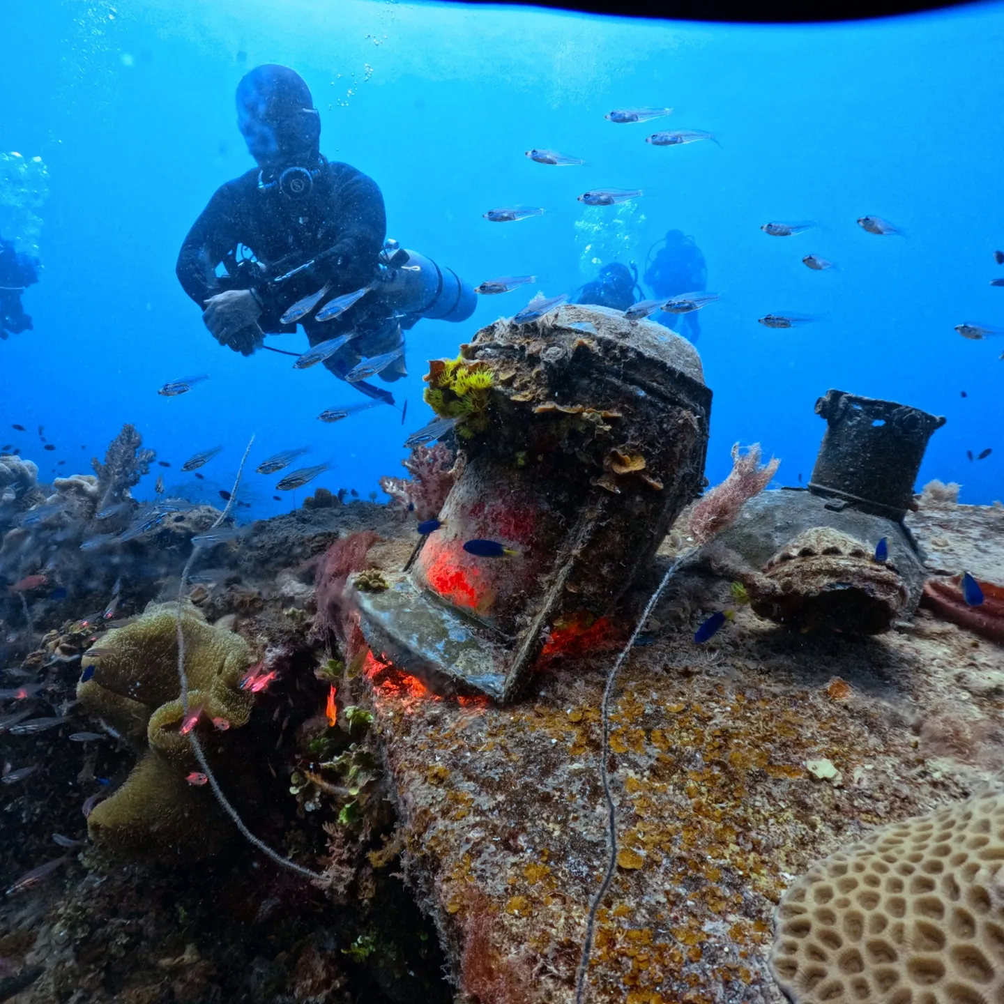 ミクロネシア連邦のチューク州へレックダイブ🐟