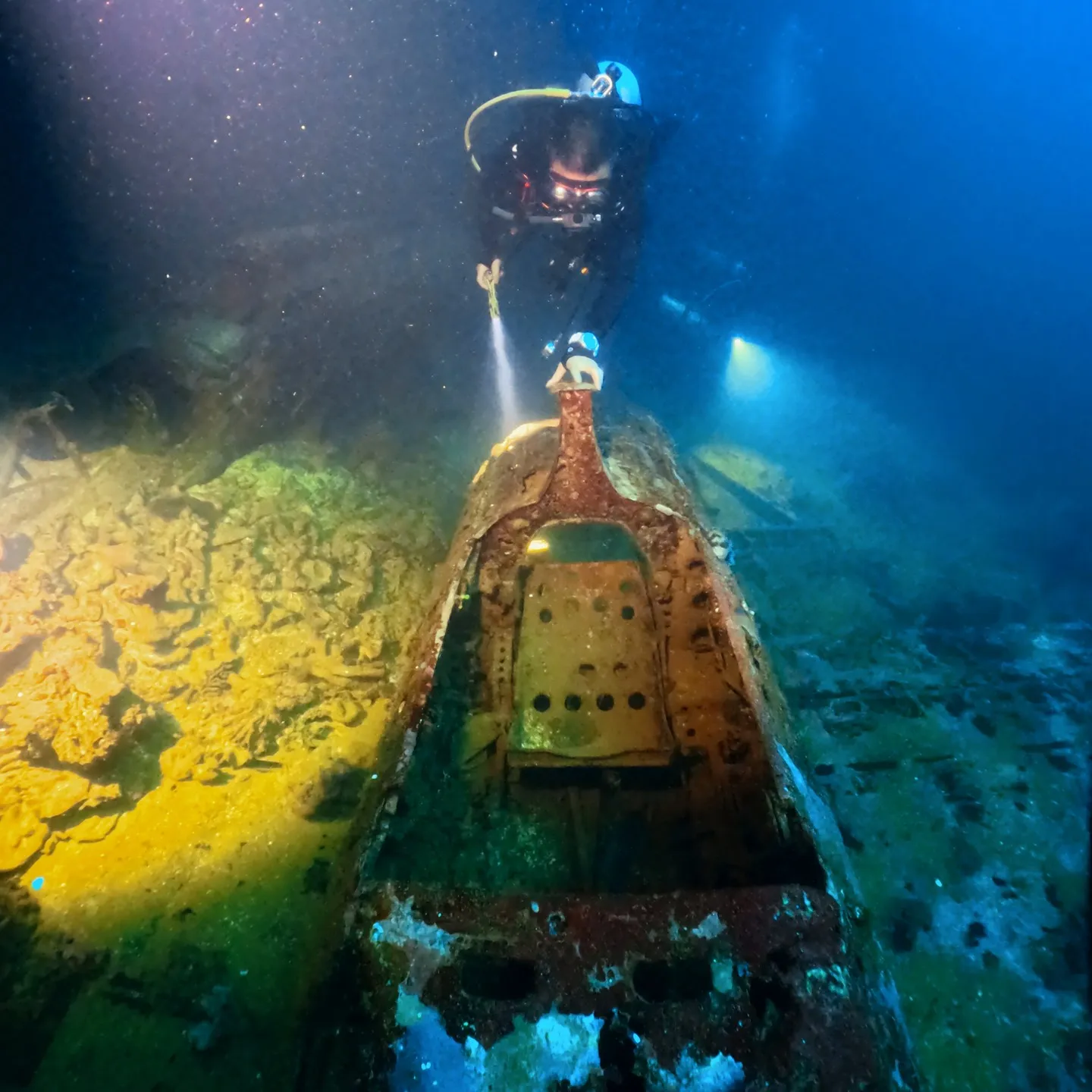 ミクロネシア連邦のチューク州へレックダイブ🐟