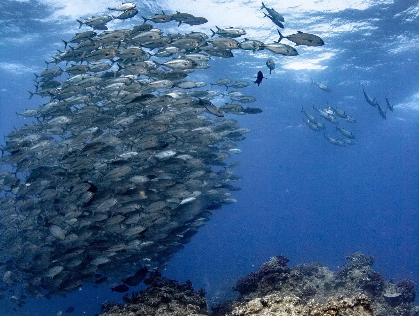 6/12-14チービシ&粟国ツアー