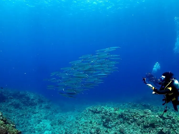 6/12-14チービシ&粟国ツアー