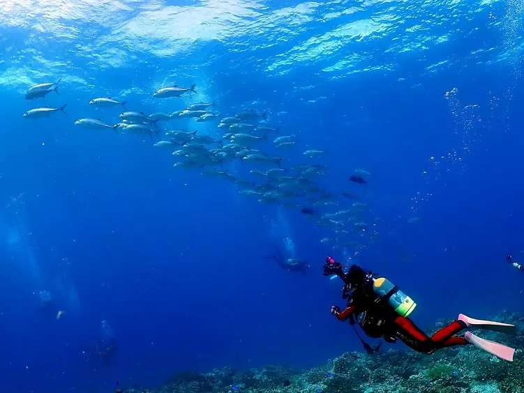 6/12-14チービシ&粟国ツアー