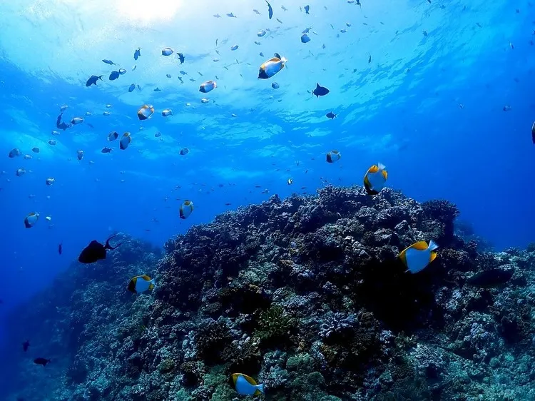 6/12-14チービシ&粟国ツアー