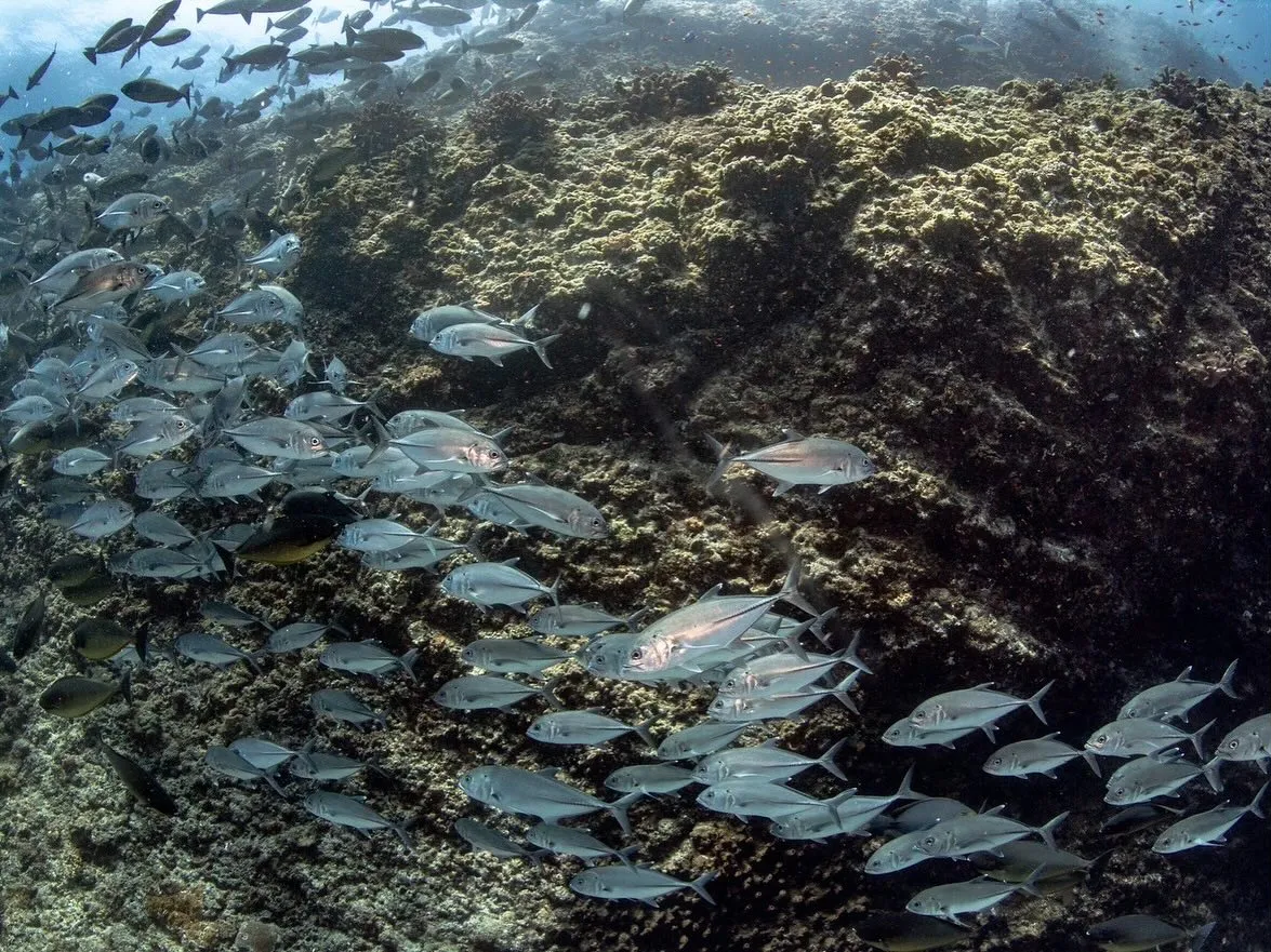 6/12-14チービシ&粟国ツアー