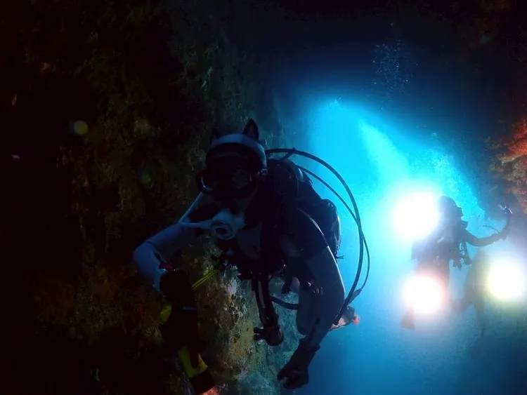 2025.06.22古座ツアー