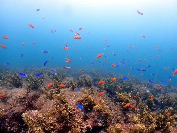 2025.06.22古座ツアー