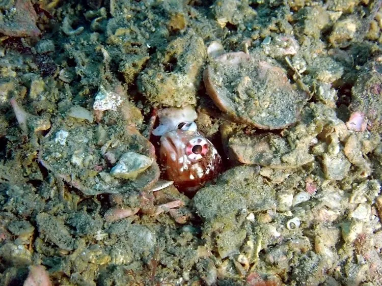 2025.06.22古座ツアー