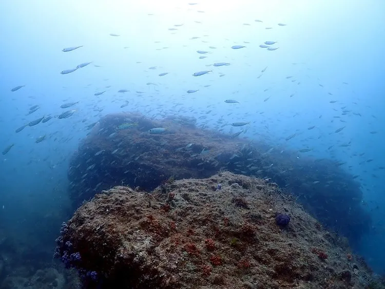 2025.06.22古座ツアー