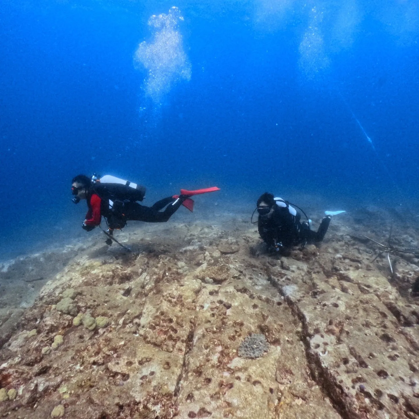串本外洋ダイブですが、浅地が激流で島回り西ダイブ😇