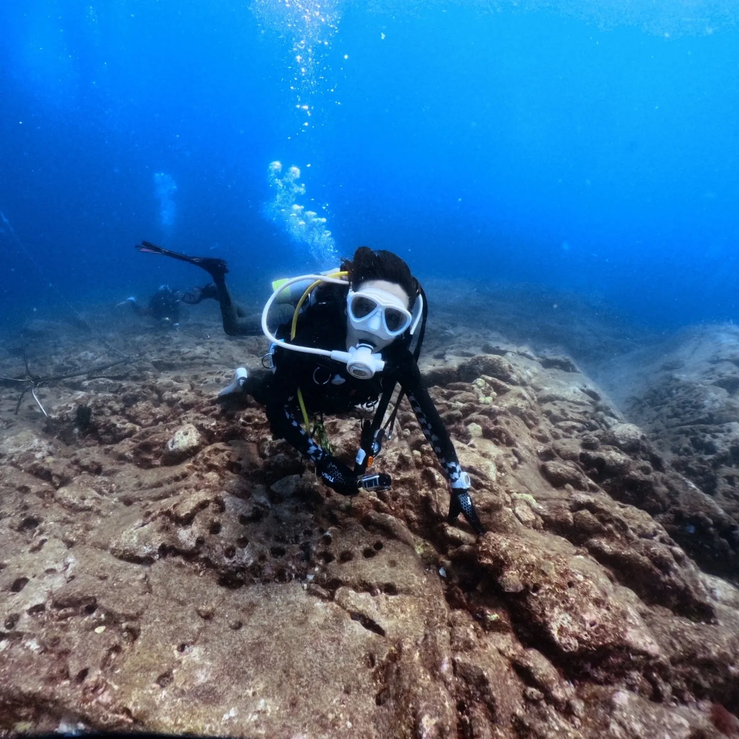 串本外洋ダイブですが、浅地が激流で島回り西ダイブ😇