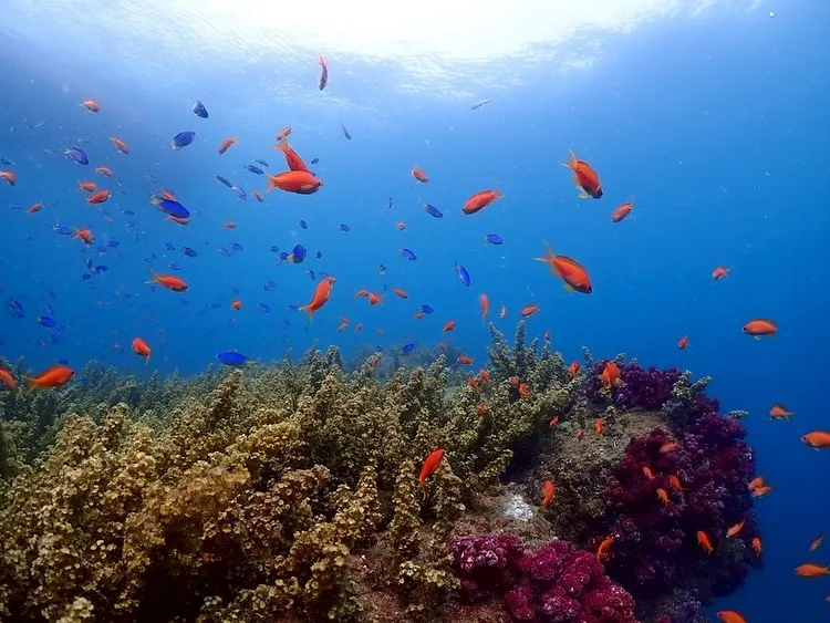 2025.07.02田辺ボート