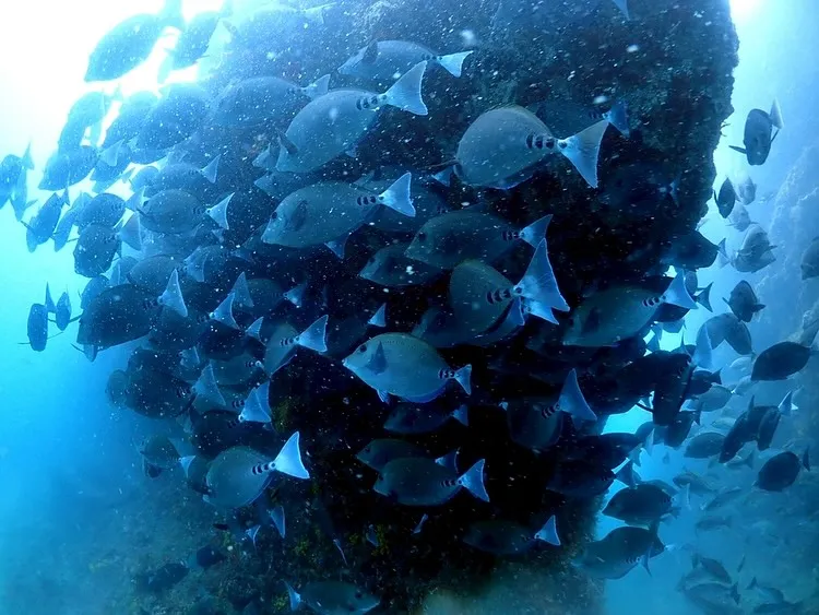 2025.07.02田辺ボート